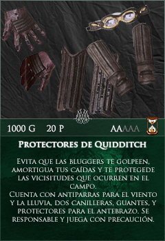 Protectores de Quidditch